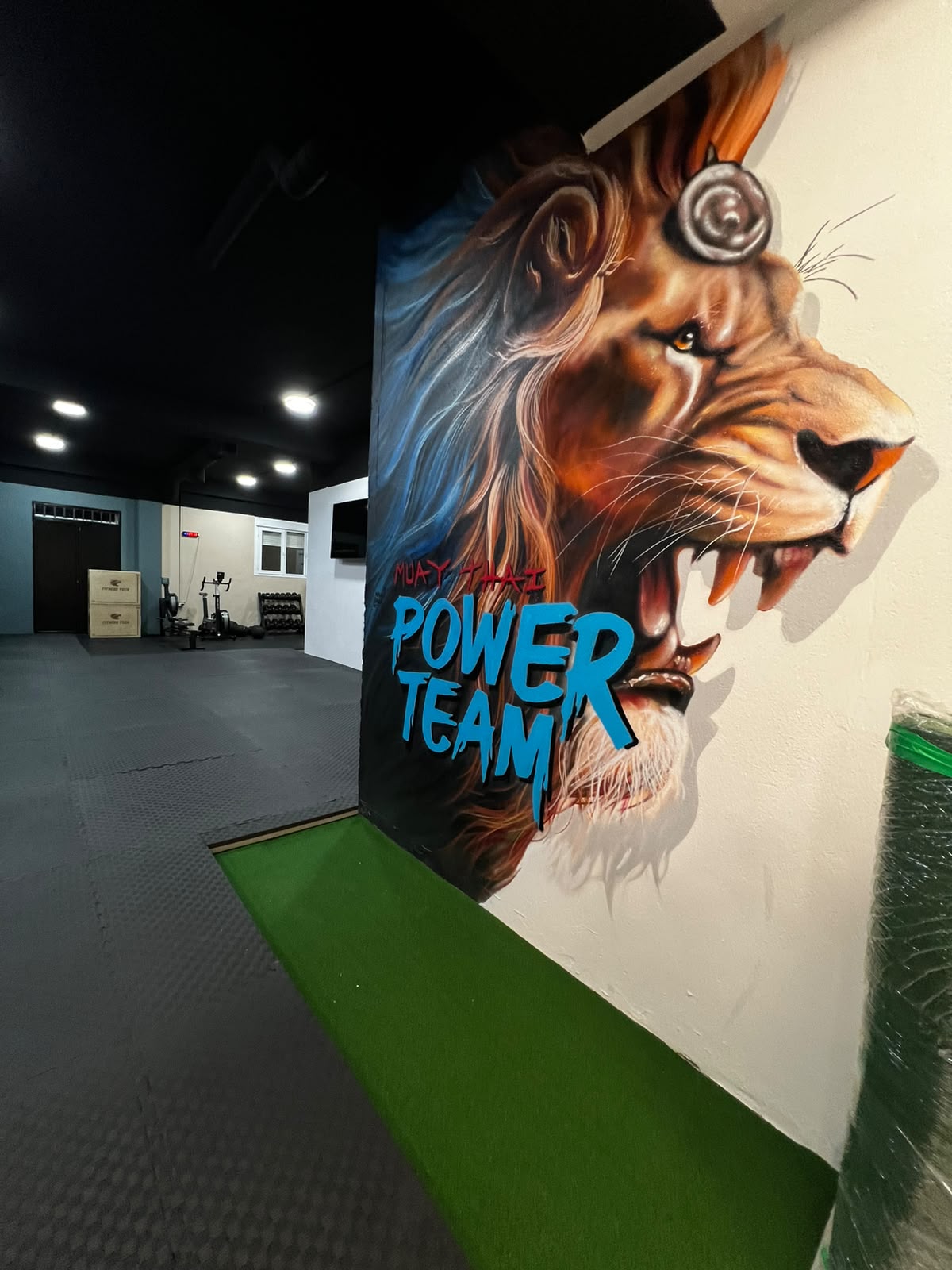 Mural pintado del león de Power Team