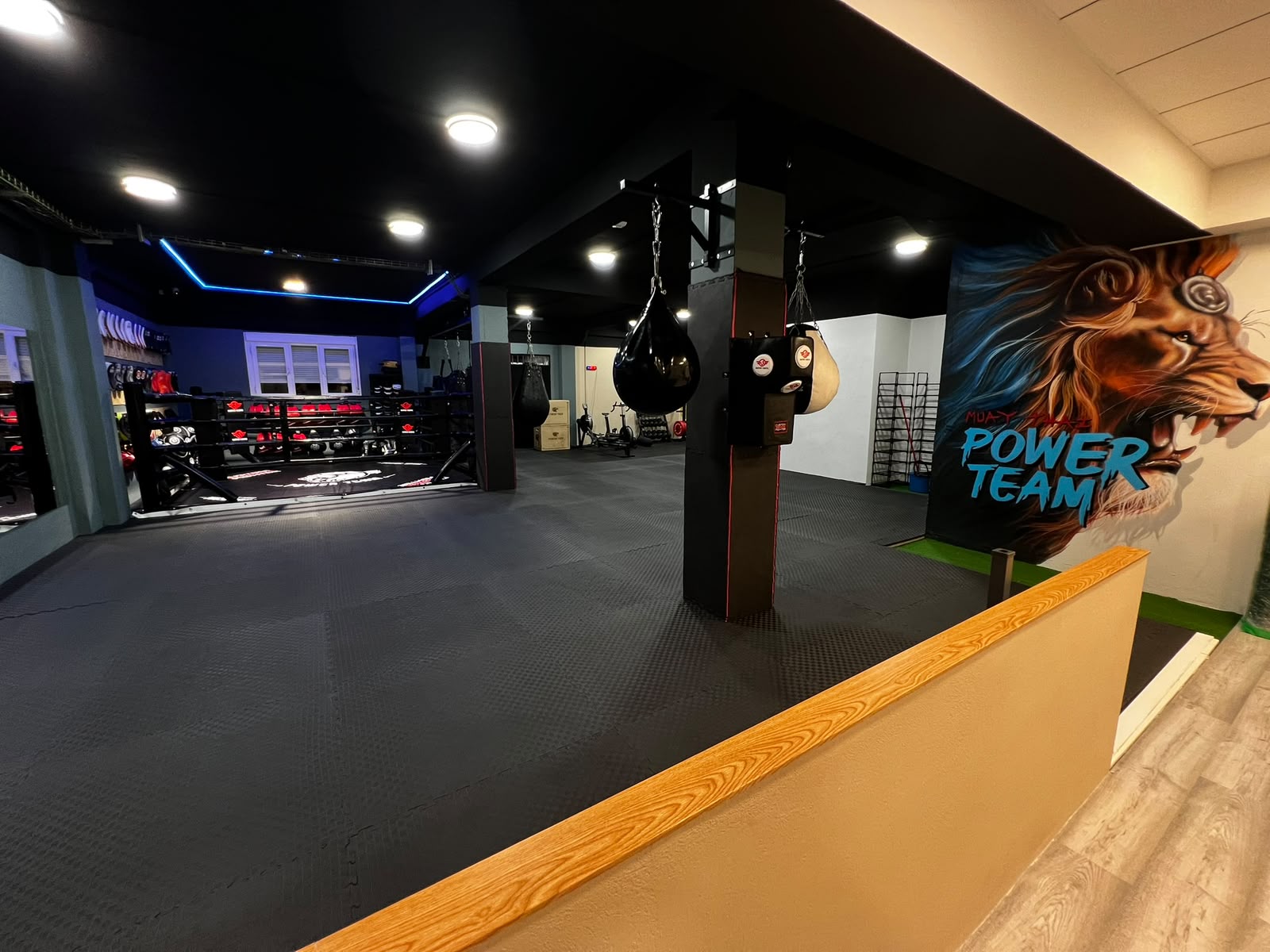 Pasillo de acceso al ring con mural del león de Power Team